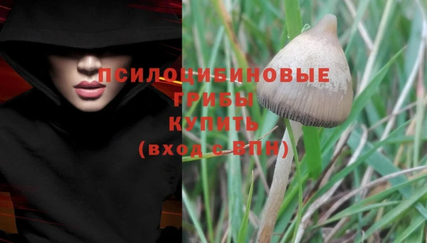 не бодяженный Верея