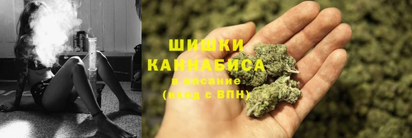 Альфа ПВП Бородино